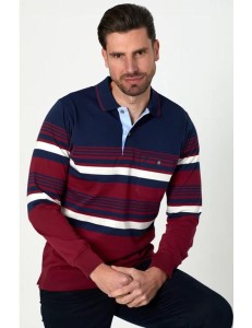 POLO PUNTO FRANJAS 3433