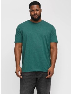 CAMISETA JJEORGANIC MEL