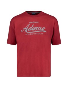 CAMISETA ORIGINAL 131511