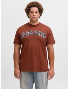 CAMISETA JJECALEB VARST