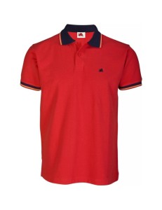 POLO GRIFFIN BANDERA 2001